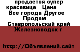 продается супер красавица › Цена ­ 50 - Все города Другое » Продам   . Ставропольский край,Железноводск г.